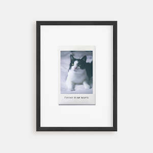 Cat Memorial Gift - Instant Film Poster