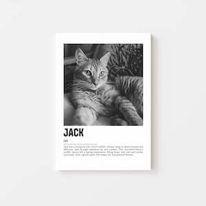 Pet Memorial Gifts: Cat Memorial Gift - Parisian Canvas