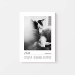 Pet Memorial Gifts: Cat Memorial Gift - California Canvas