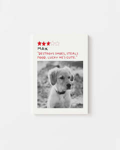 Vogue 5-Star Review - Custom Pet Canvas