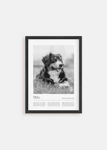 Dog Memorial - California Pet Art Poster
