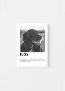 Unique Pet Memorial Ideas - Parisian Custom Pet Canvas