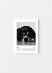 Unique Pet Memorial Ideas - California Custom Pet Canvas