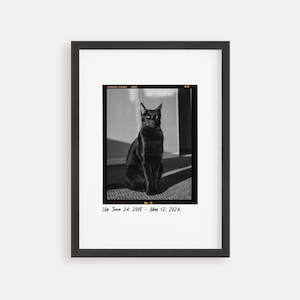 Cat Portrait - Film Negative Poster