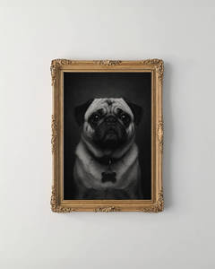 The Noir 2.0 Pet Portrait - Digital