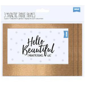 SHOT2GO Magnetic Fridge Frames 3PK Copper