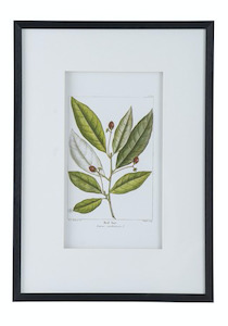 Art: Wall Art - Red Bay - 50x70cm