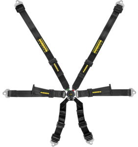 Schroth Profi 2x2 Harness