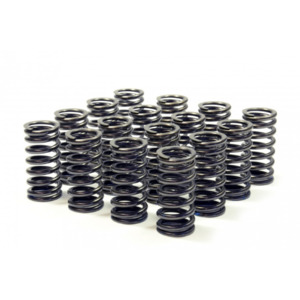 RCM V3/4 Uprated Valve Springs