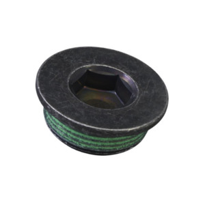 Bottom End: Genuine Subaru Engine Plug