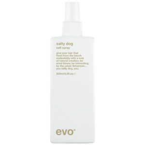 Evo Salty Dog spray Salt Spray Evo Jam Hair Wellington NZ