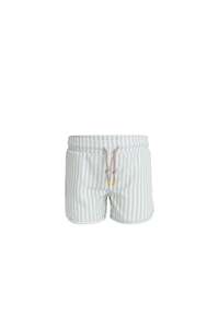 Swimwear: Declan Board Short - Variegated Stripe Cenote