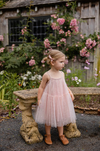 Girls Dresses: Nylah Dress - Petite Heart Rosie