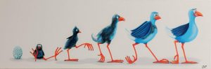 Products: Evolution - Jane Hodgson ArtJane Hodgson Art