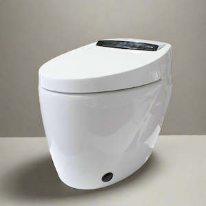 Smart Toilet - Auto Flush, Heated Seat