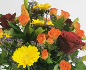 Florist Choice Bright Bouquet - Jan Maree Flowers