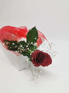Boxed Single Red Rose - Jan Maree Flowers