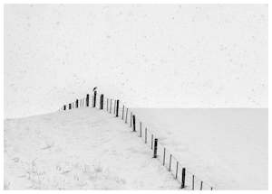 Classic Central Otago Landscapes: Limited Edition Framed Print - The Watcher