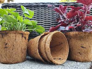 Garden Supplies: Earth Pots - 3L
