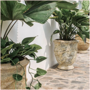 Atlantis French Planter