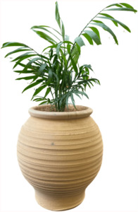 Pots Garden Features: Crete – Koronios Urn