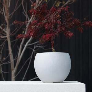 Pots Garden Features: Franoma Hamilton Planter