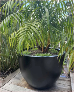 Pots Garden Features: Bianca Egg Pot