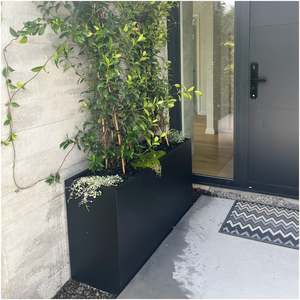 Pots Garden Features: Bianca Tall Trough - Large