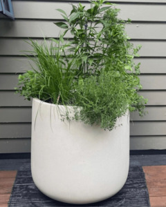 Bianca Cylinder Pot - Large