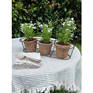 Gifts: Aged Terracotta 3 Pot Wire Basket