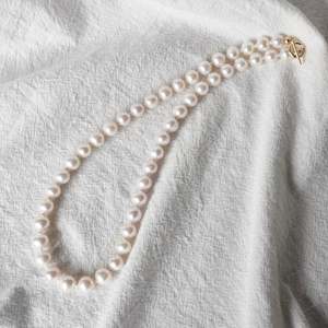 Pearl Necklace/Choker #135