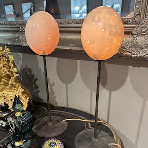 Ostrich Egg Lamp