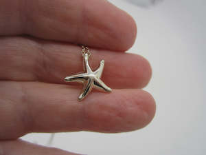Jewellery 1: Tiffany and Co Starfish Pendant/Charm