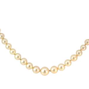 Jewellery Necklaces: Graduated Cultured Pearl Necklace