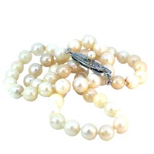 Jewellery Necklaces: Cultured Pearl Necklace