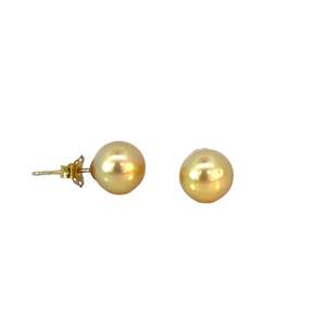 Golden South Sea Pearl Earrings on Yellow Gold