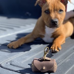Products: Poochies (Doggy waste bag holder) - Jennifer Strange