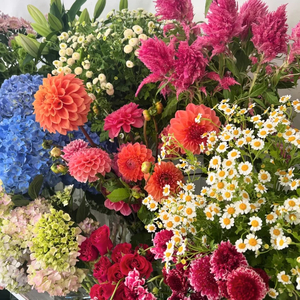 Florist’s Choice Bright