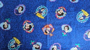Products: Snow White Fabric OOP