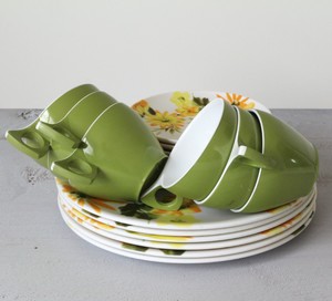 Duraware Picnicware set 18 pieces