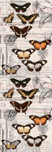 Gorgeous Scarves: Retro Butterflies Cotton/Modal Designer Scarf