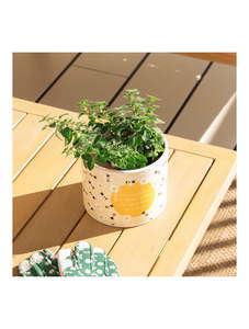 Splosh Mugs Plant Pots Soft Toys: Home Grown Bee Large Plant Pot