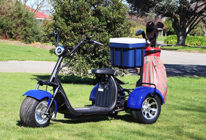 Trike Golf/Fishing Electric Scooter Jenquip