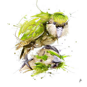 Best Sellers: Kakapo Canvas Print