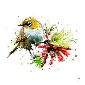 Best Sellers: Silvereye Canvas Print