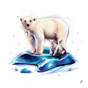 Polar Bear Canvas Print