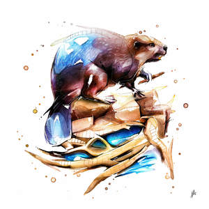 Beaver Canvas Print