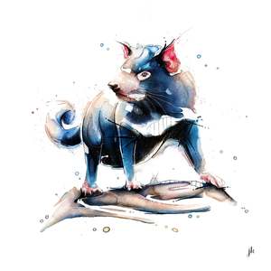 Tasmanian Devil Canvas Print