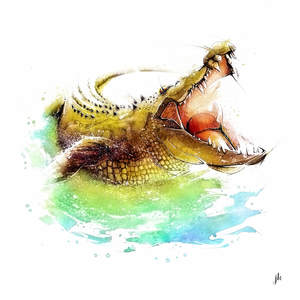 Australia Animal Art: Crocodile Canvas Print