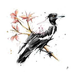 Magpie Canvas Print